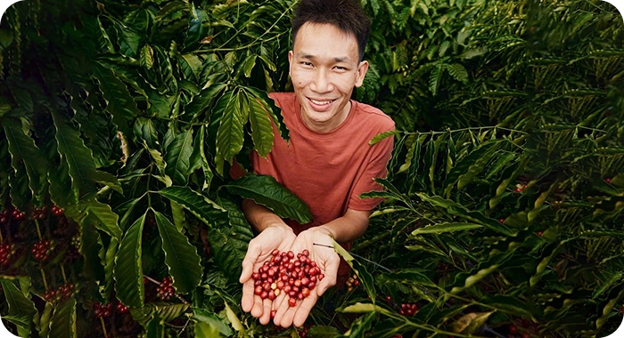 Nguyên liệu được tuyển chọn